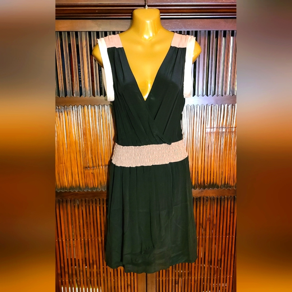 NWT Aqua 100% silk color block dress sz L